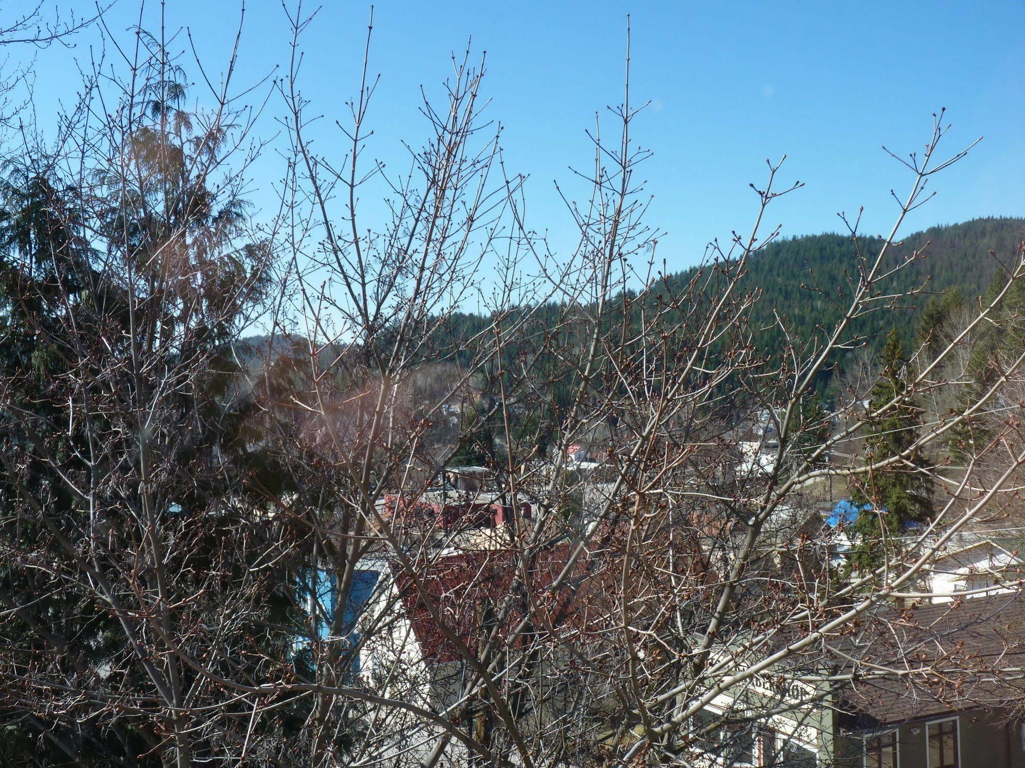 The Flying Steamshovel Inn Rossland Bagian luar foto